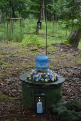 Thumbnail Beisetzung im Wald - Ruheforst Bothkamp